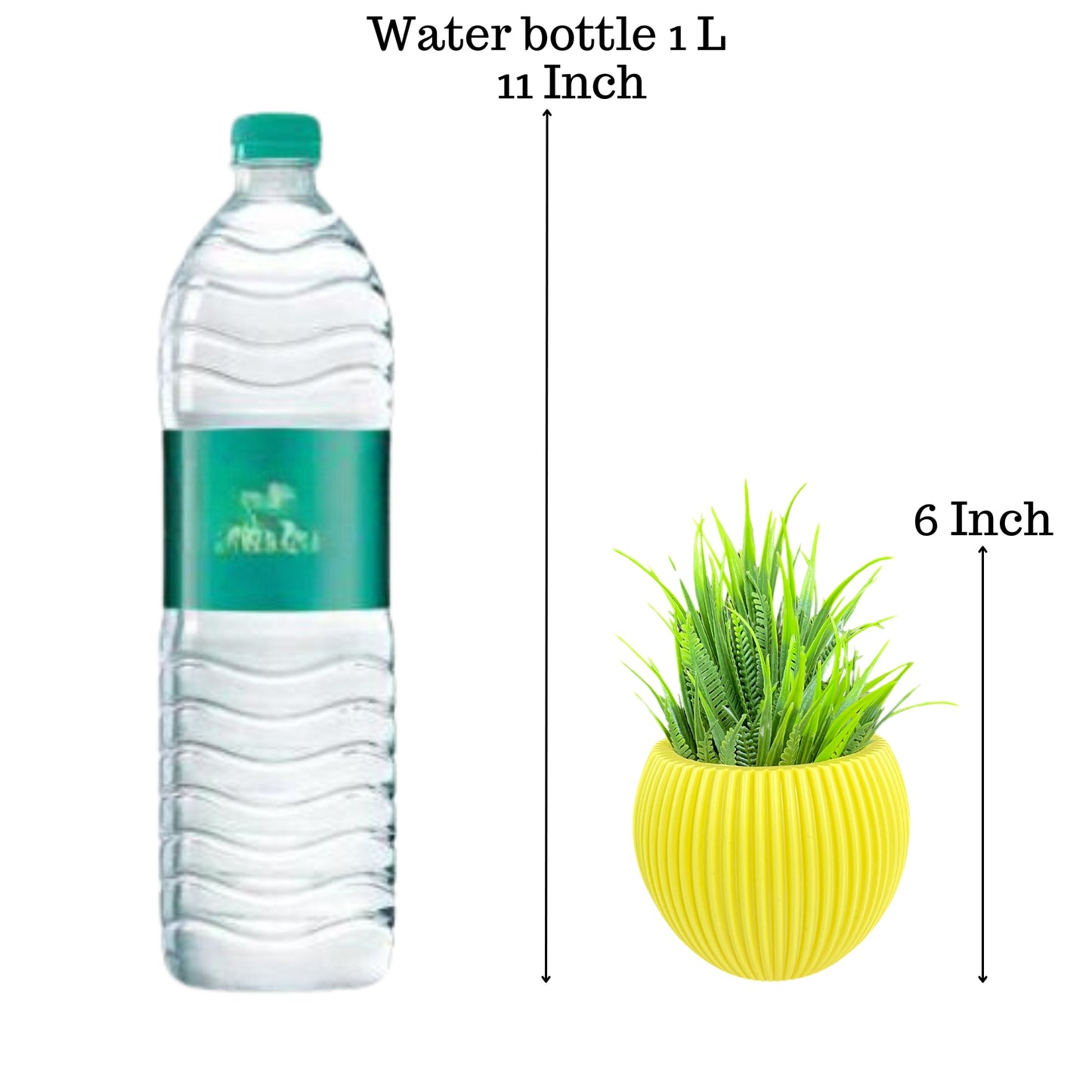 Akaar 2 Yellow Ava Pots with Fern