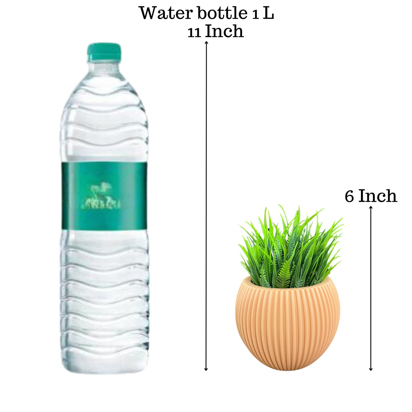 Akaar 1 Orange Ava Pot with Fern