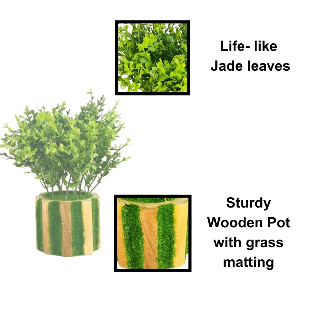 Akaar Artificial Plants for Decoration - Wooden Plant Style 1