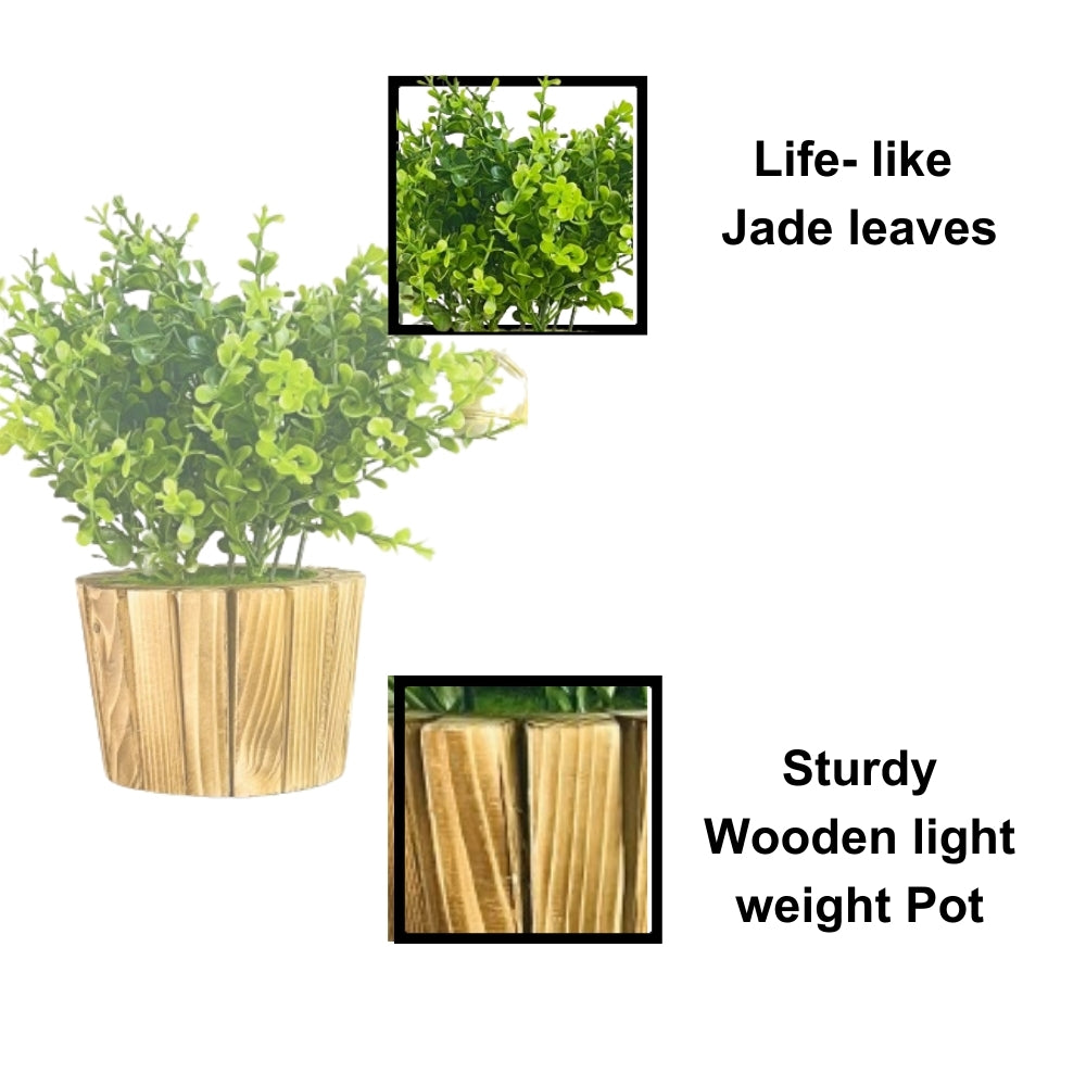 Akaar Artificial Plants for Decoration - Wooden Plant Style 3