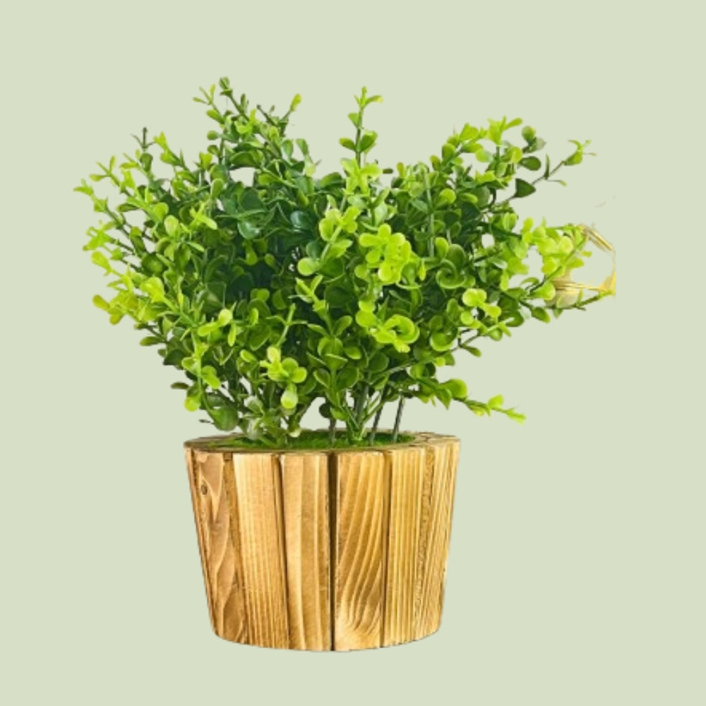 Akaar Artificial Plants for Decoration - Wooden Plant Style 3