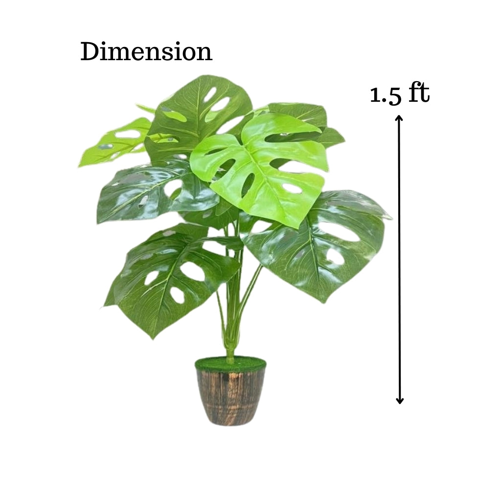 Akaar Decor's Artificial Plants for Home Decoration : 12 Branch Plant with Pot (Mostera)
