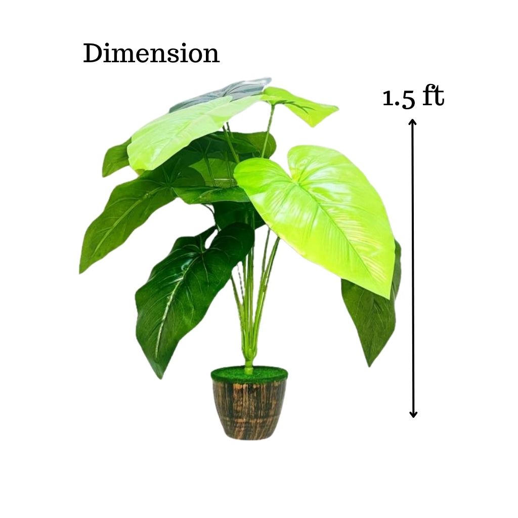 Akaar Decor's Artificial Plants for Home Decoration : 12 Branch Plant with Pot (Alocasia)