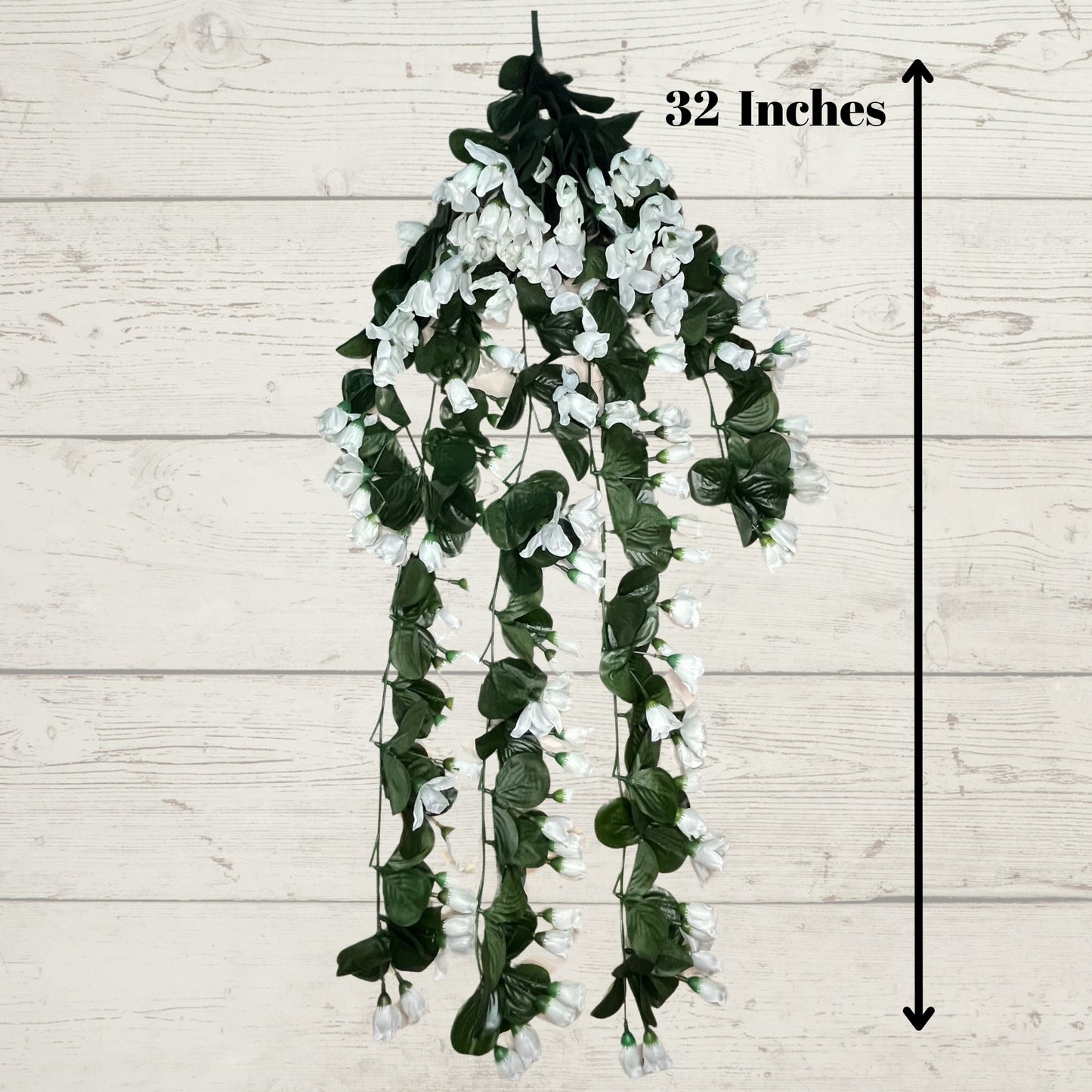 Akaar Rose Bud Falling in White