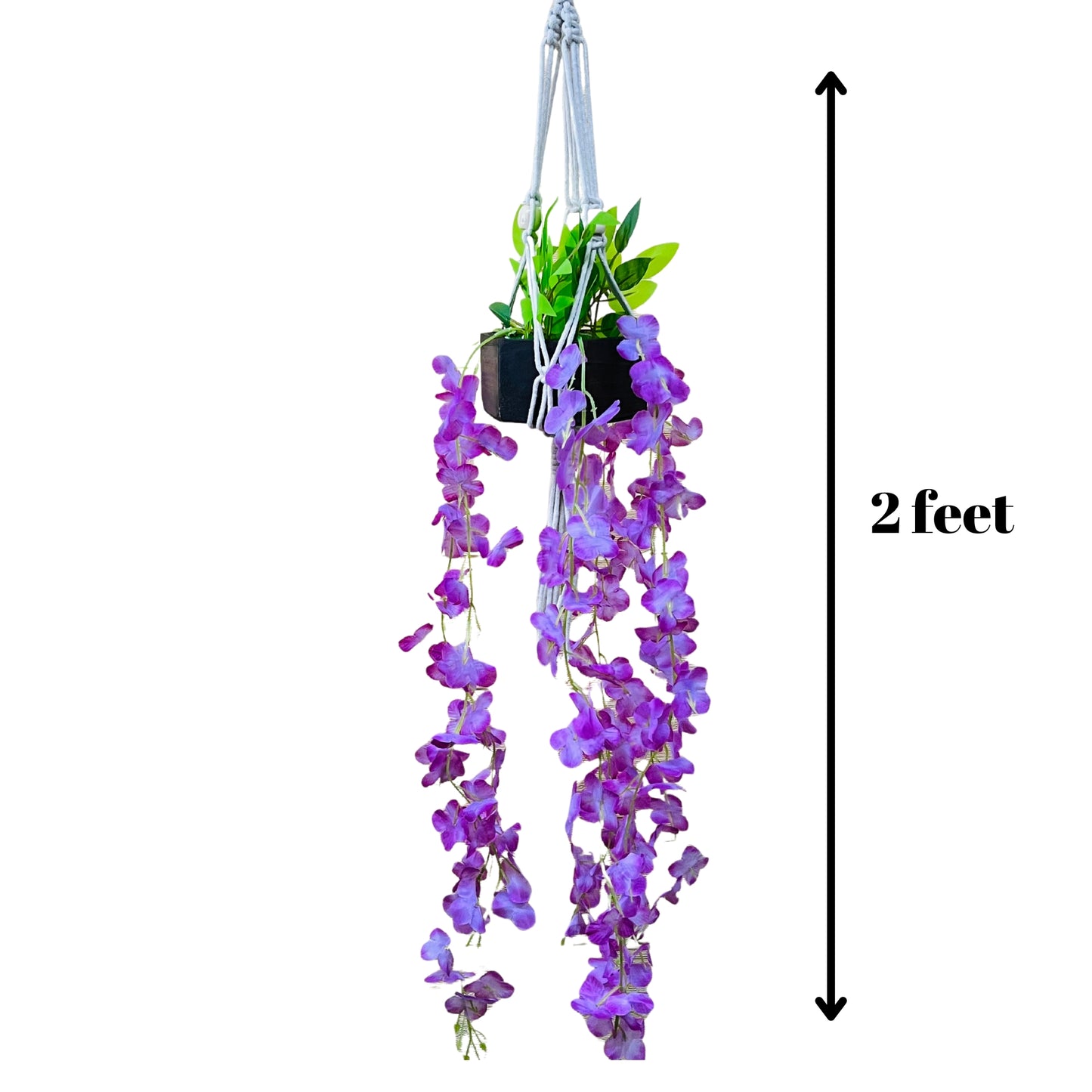 Akaar purple Wisteria Hangings with Pot in Cotton Macrame Plant Hanger