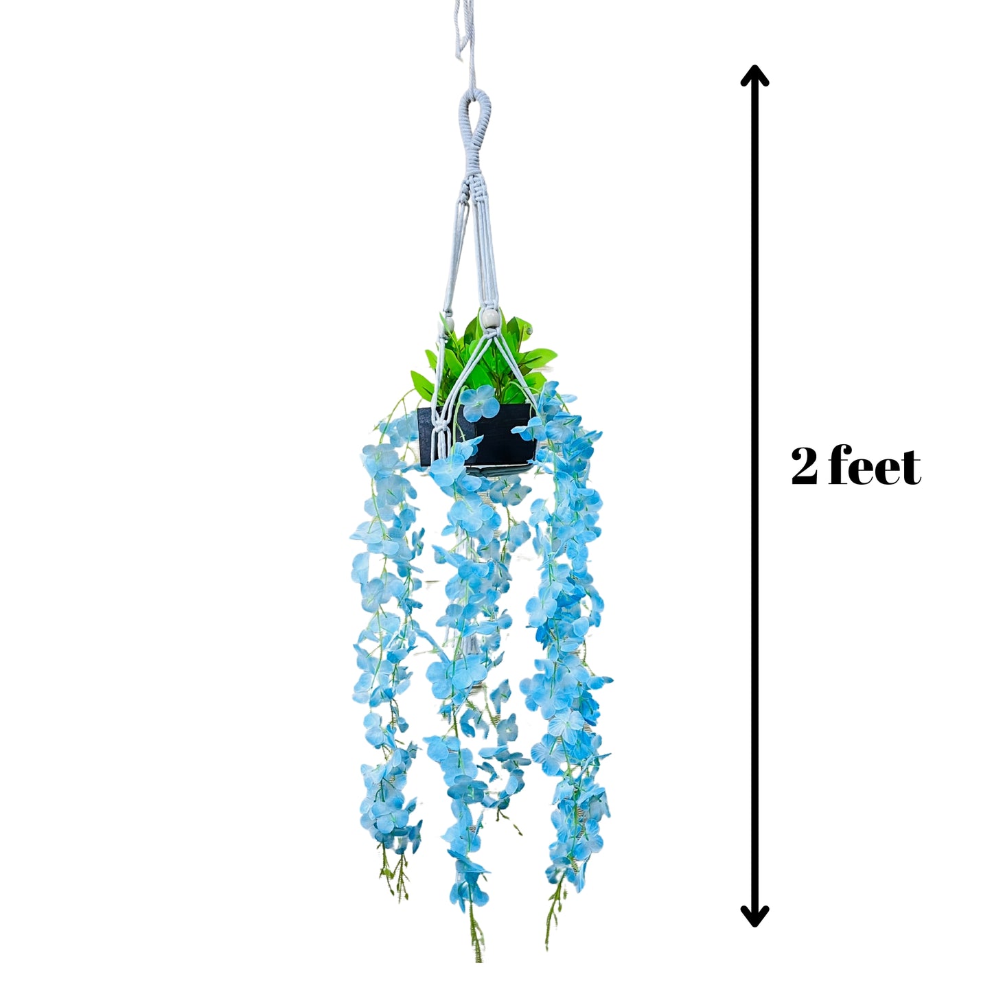 Akaar Blue Wisteria Hangings with Pot in Cotton Macrame Plant Hanger