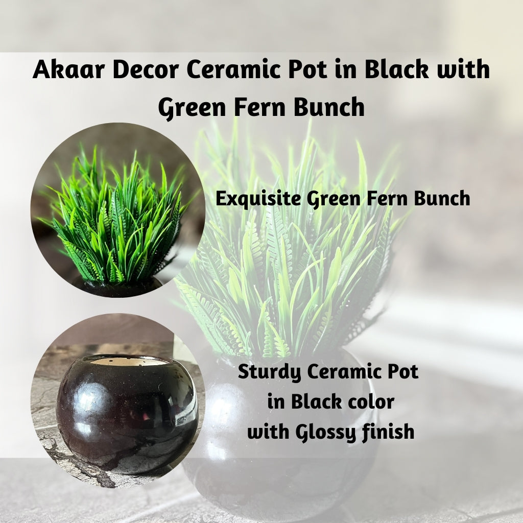 Akaar Artificial Plants for Decoration - Black Ceramic Pot with Fern