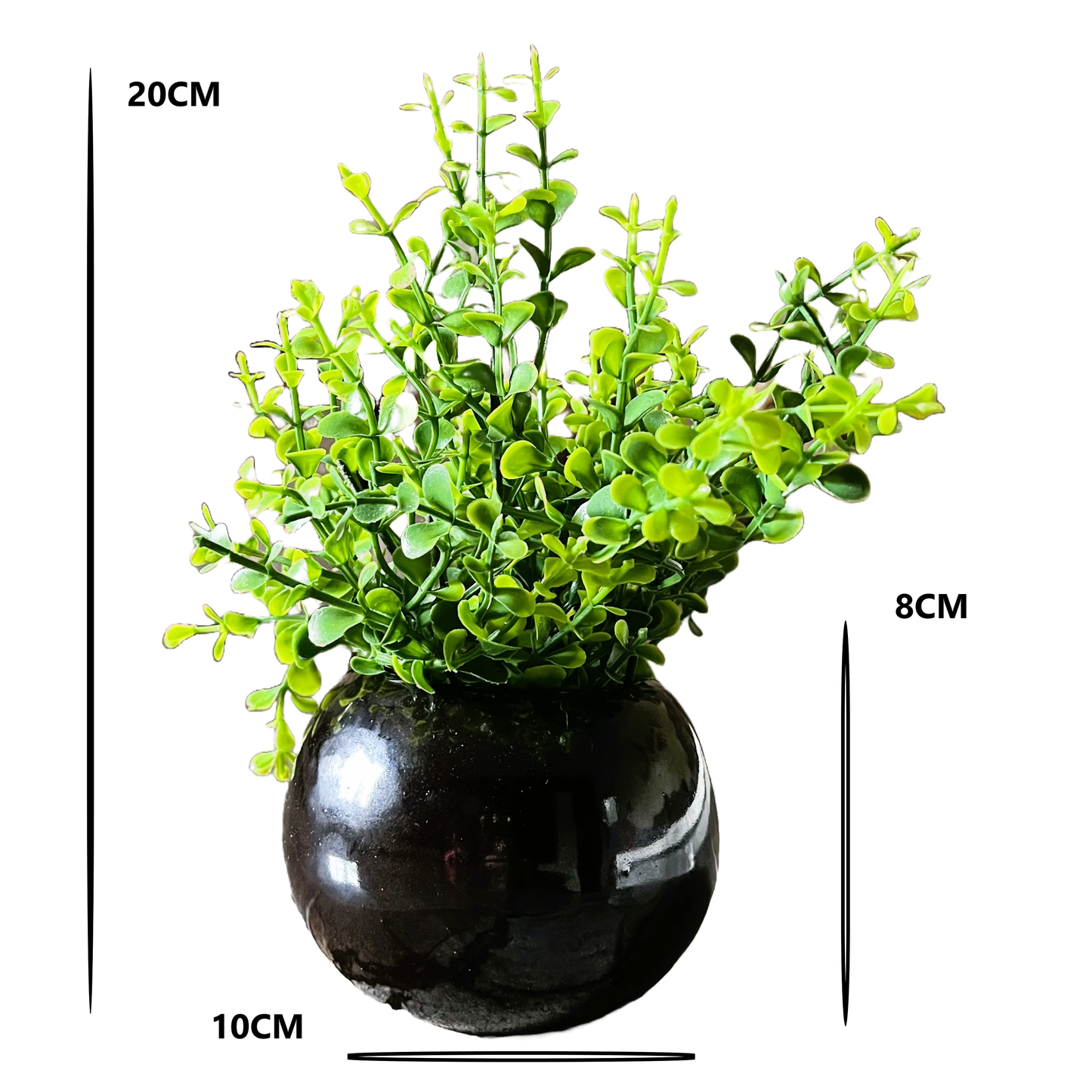 Akaar Artificial Plants for Decoration - Black Ceramic Pot with Jade