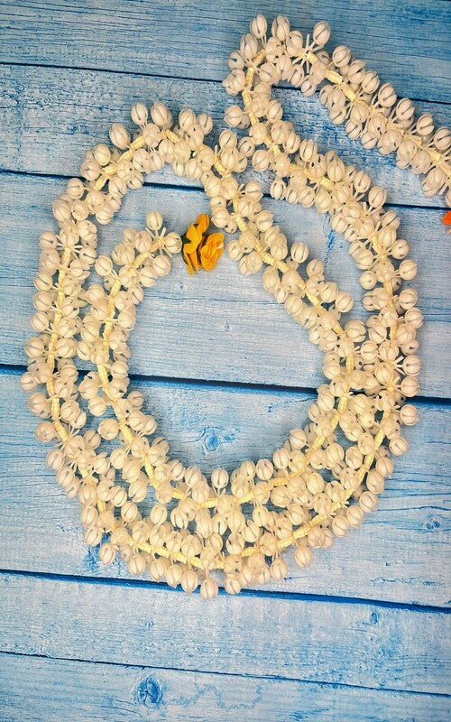 Akaar Mogra Ladi with Roses (Pack of 2)