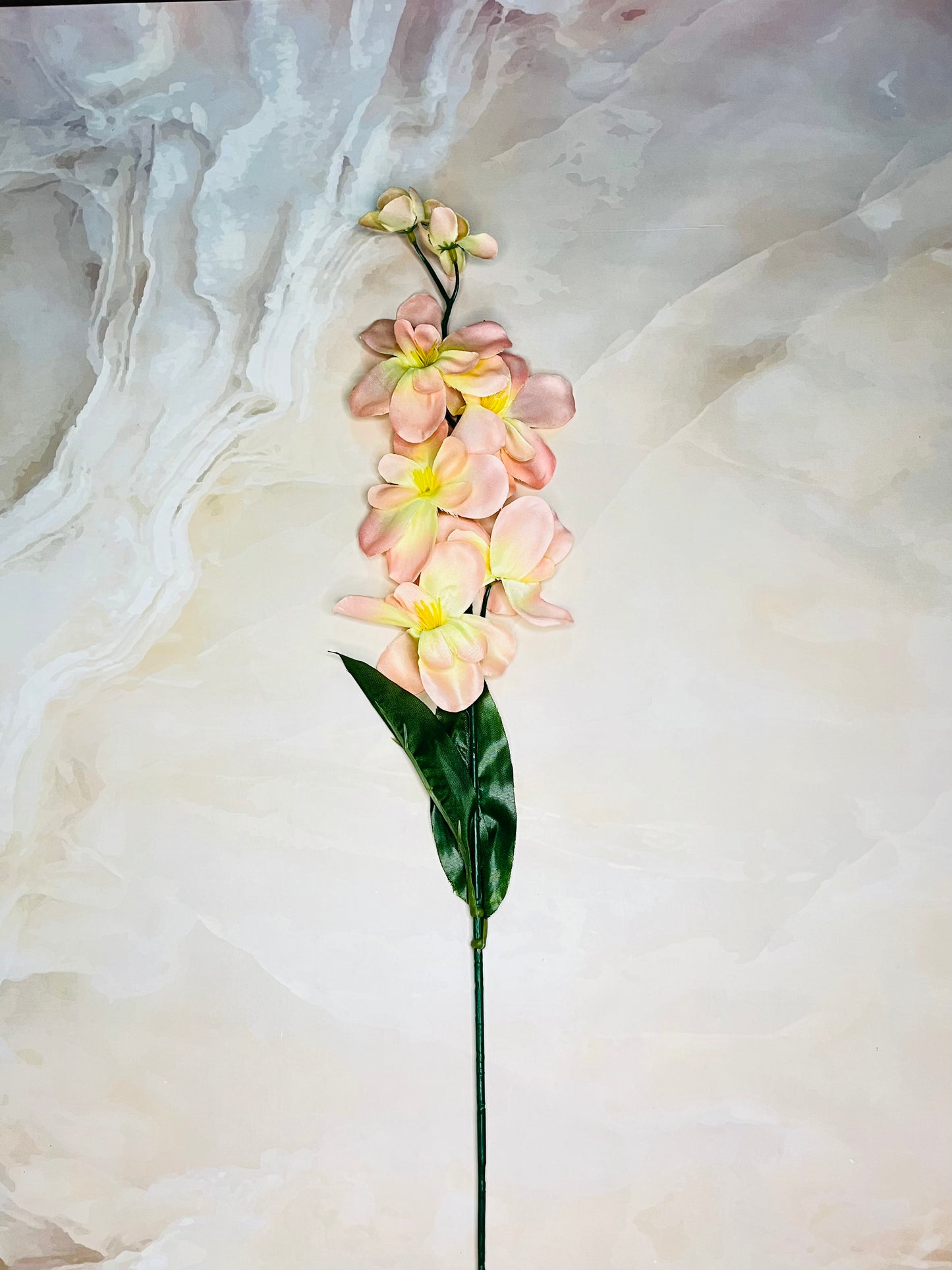 Akaar Orchid Sticks for Home Decoration (Pack of 5 sticks)