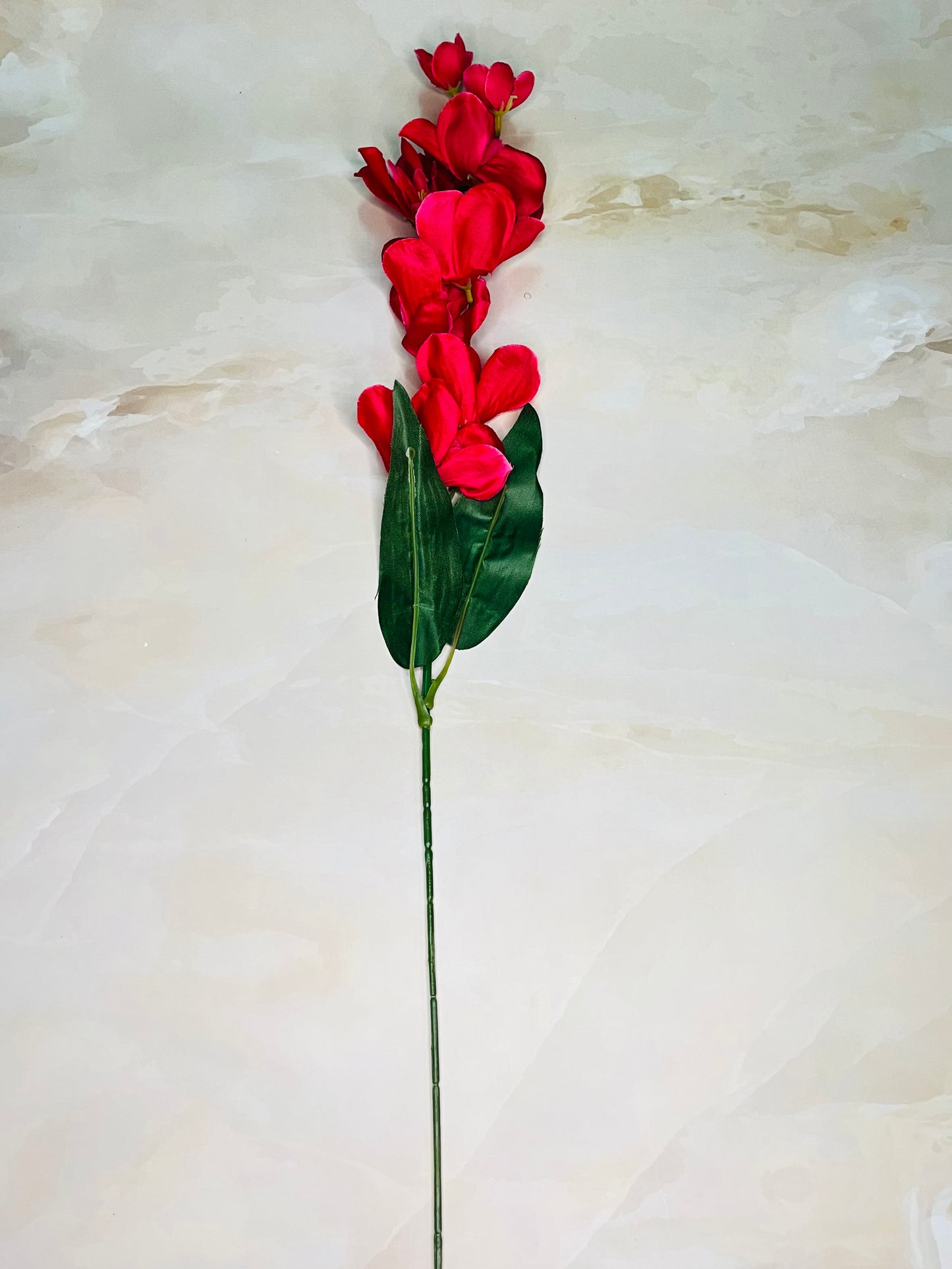 Akaar Orchid Sticks for Home Decoration (Pack of 5 sticks)