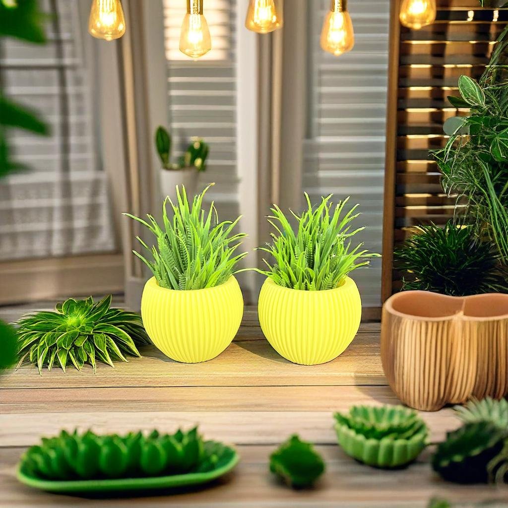 Akaar 2 Yellow Ava Pots with Fern