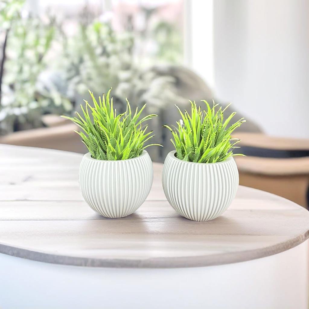 Akaar 2 Grey Ava Pot with Fern