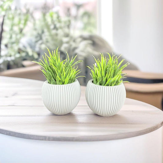 Akaar 2 Grey Ava Pot with Fern