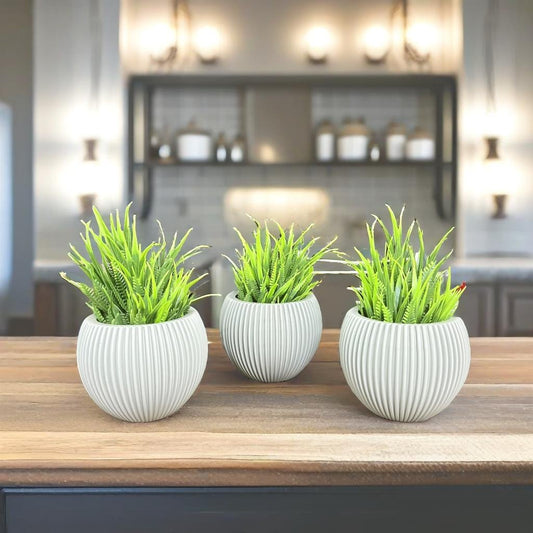 Akaar 3 Grey Ava Pot with Fern