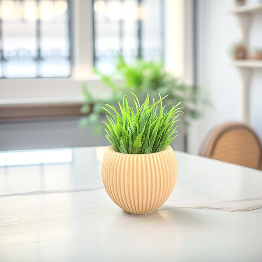 Akaar 1 Orange Ava Pot with Fern