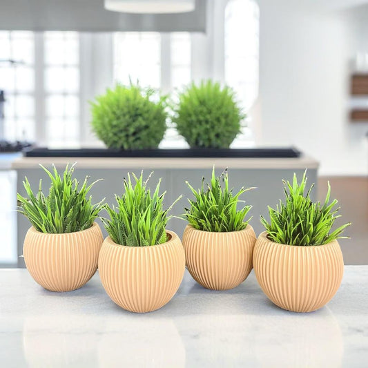 Akaar 4 Orange Ava Pot with Fern