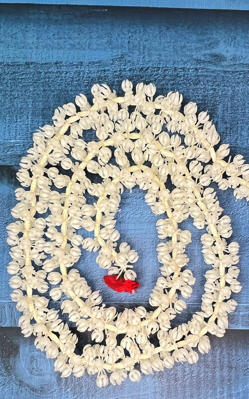 Akaar Mogra Ladi with Roses (Pack of 2)