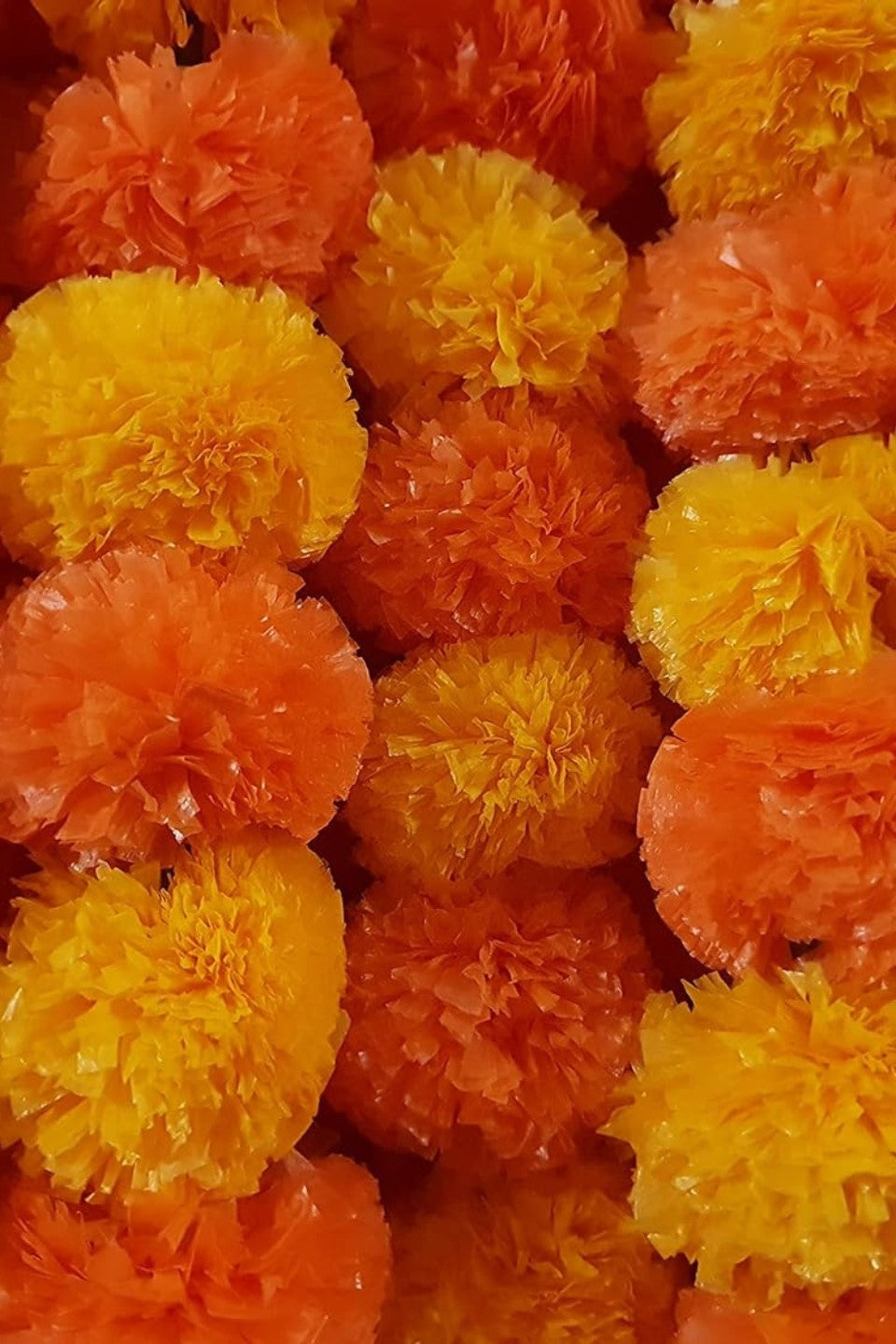 Akaar Marigold Ladi for Festive Décor (Pack of 5)