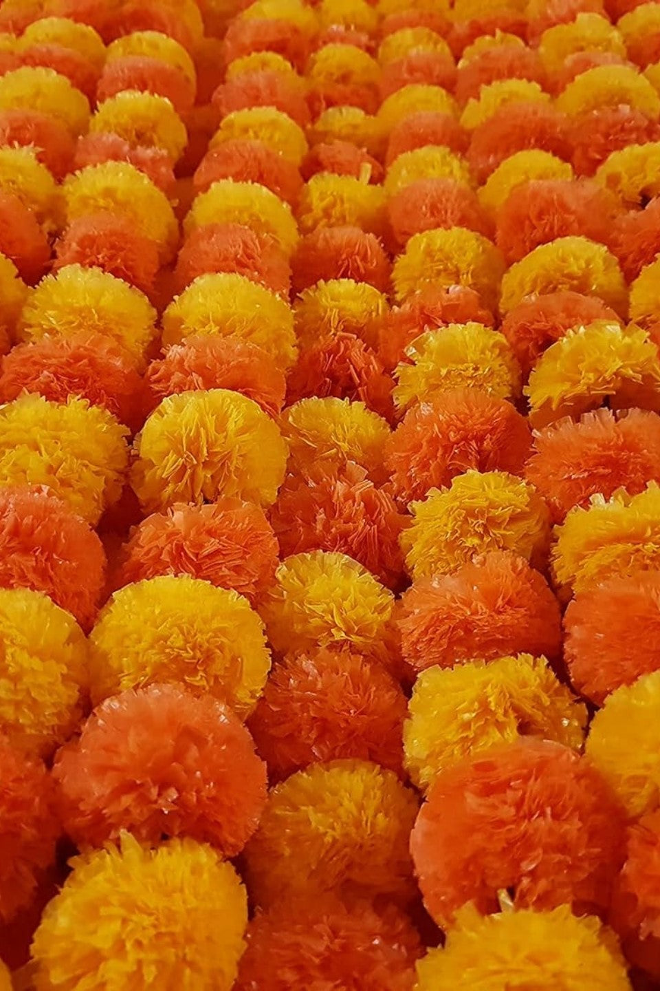 Akaar Marigold Ladi for Festive Décor (Pack of 5)