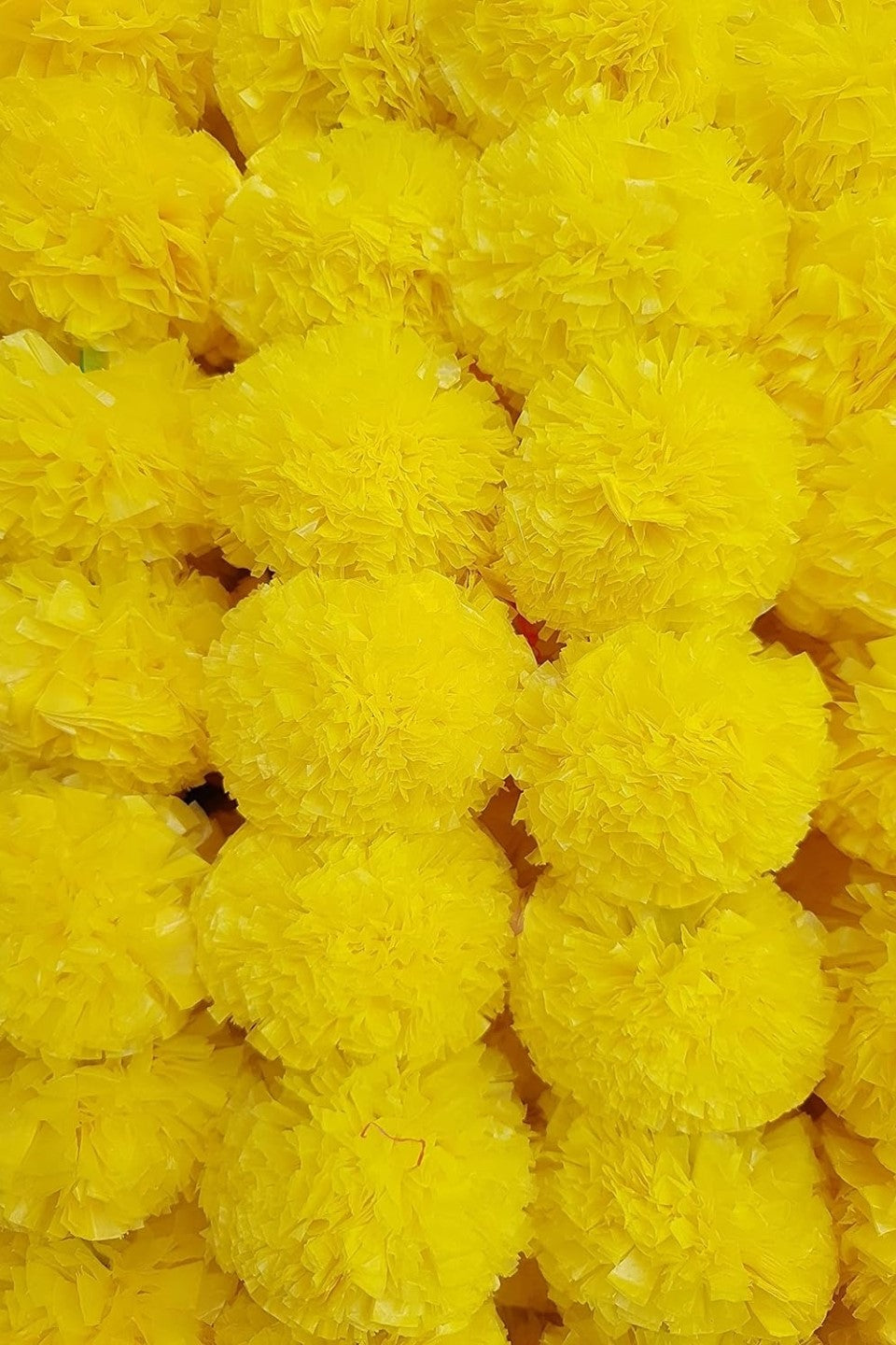 Akaar Marigold Ladi for Festive Décor (Pack of 5)