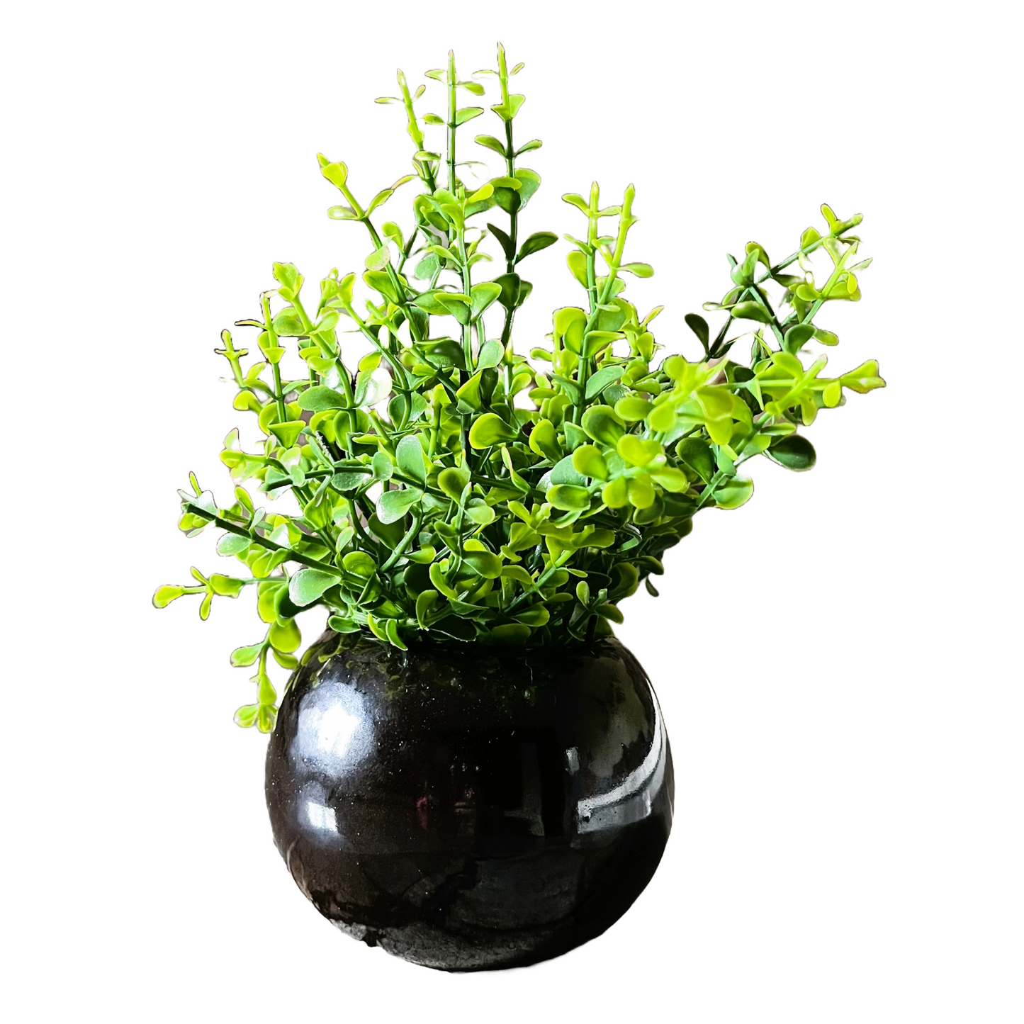 Akaar Artificial Plants for Decoration - Black Ceramic Pot with Jade
