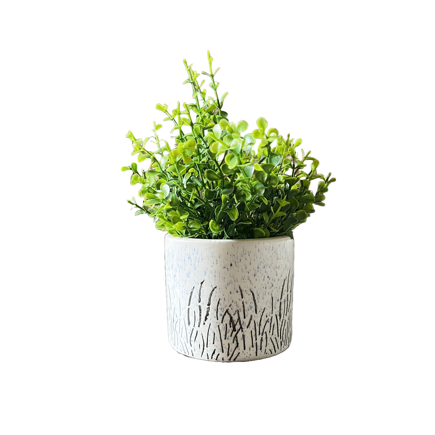 Akaar Artificial Plants for Decoration - White Ceramic Pot with Jade