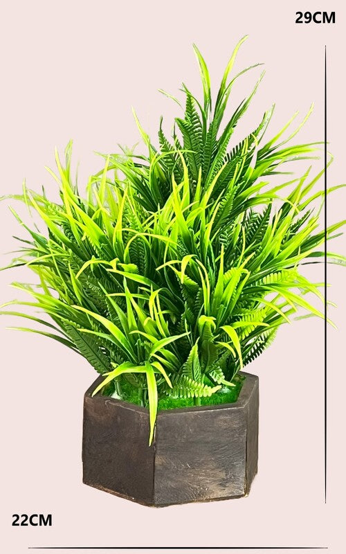 Akaar Artificial Fern Bonsai with Wooden pot for House Decor