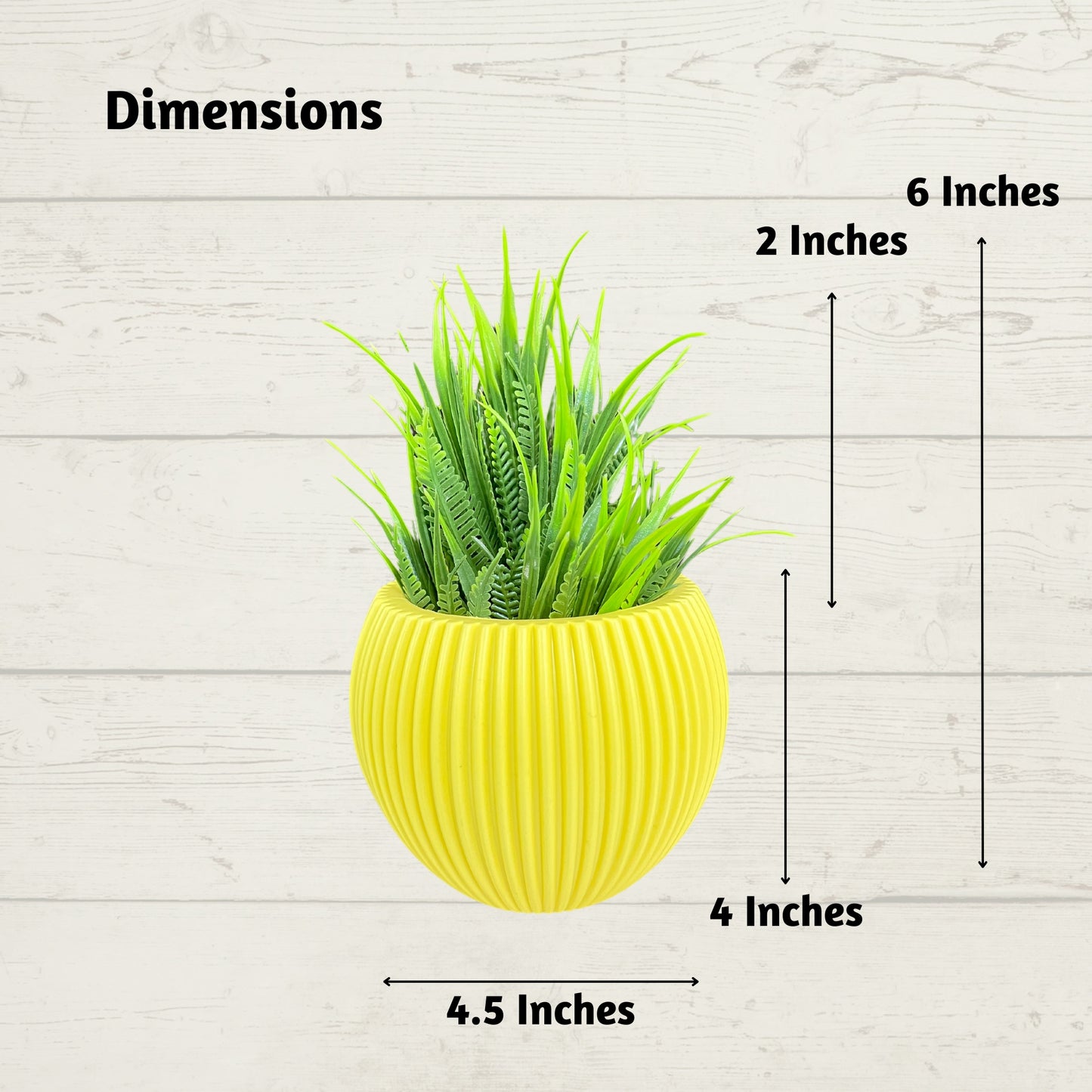 Akaar 2 Yellow Ava Pots with Fern