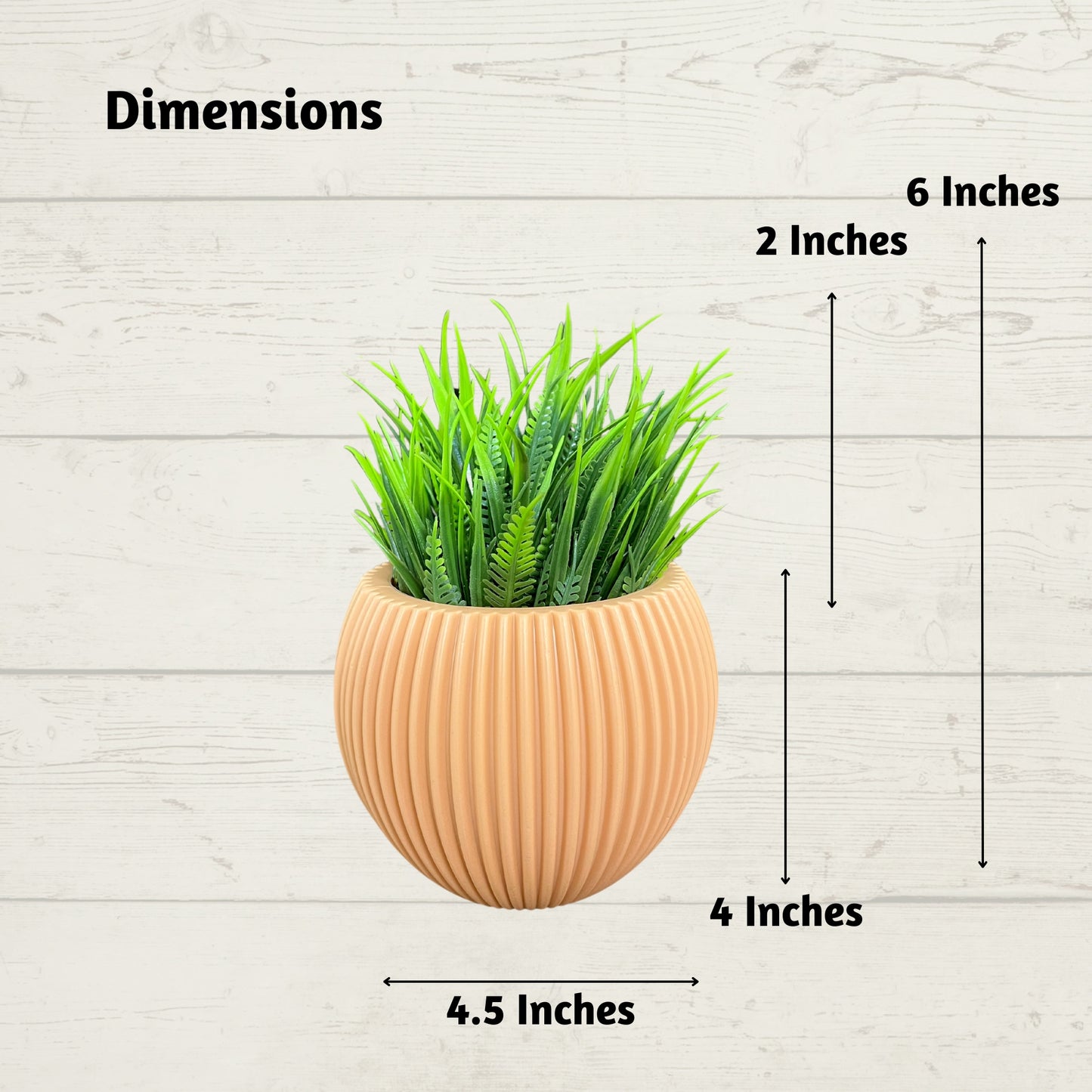 Akaar 1 Orange Ava Pot with Fern