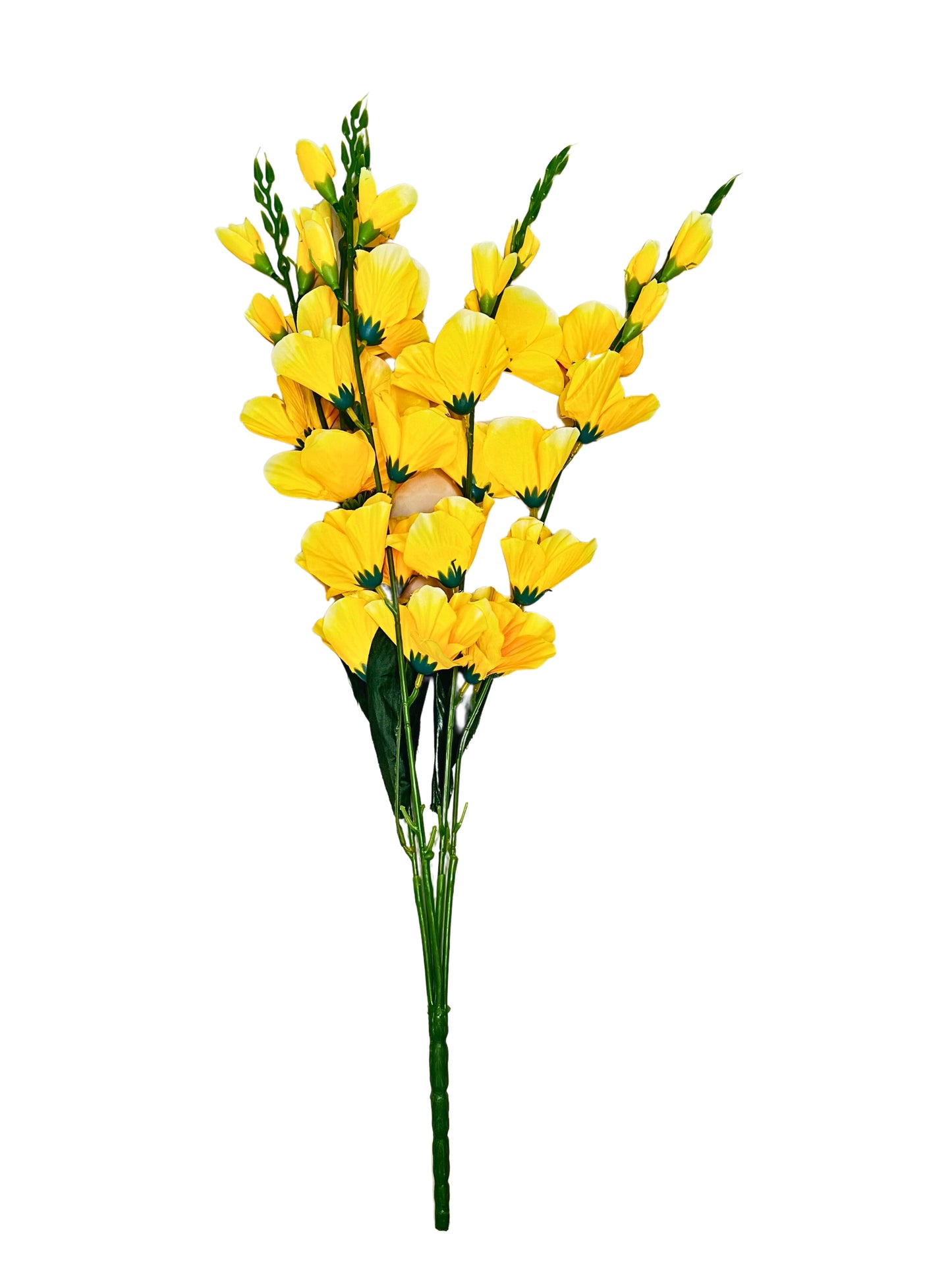 Akaar Gladiolus Flower Long Bunch for Home Decoration