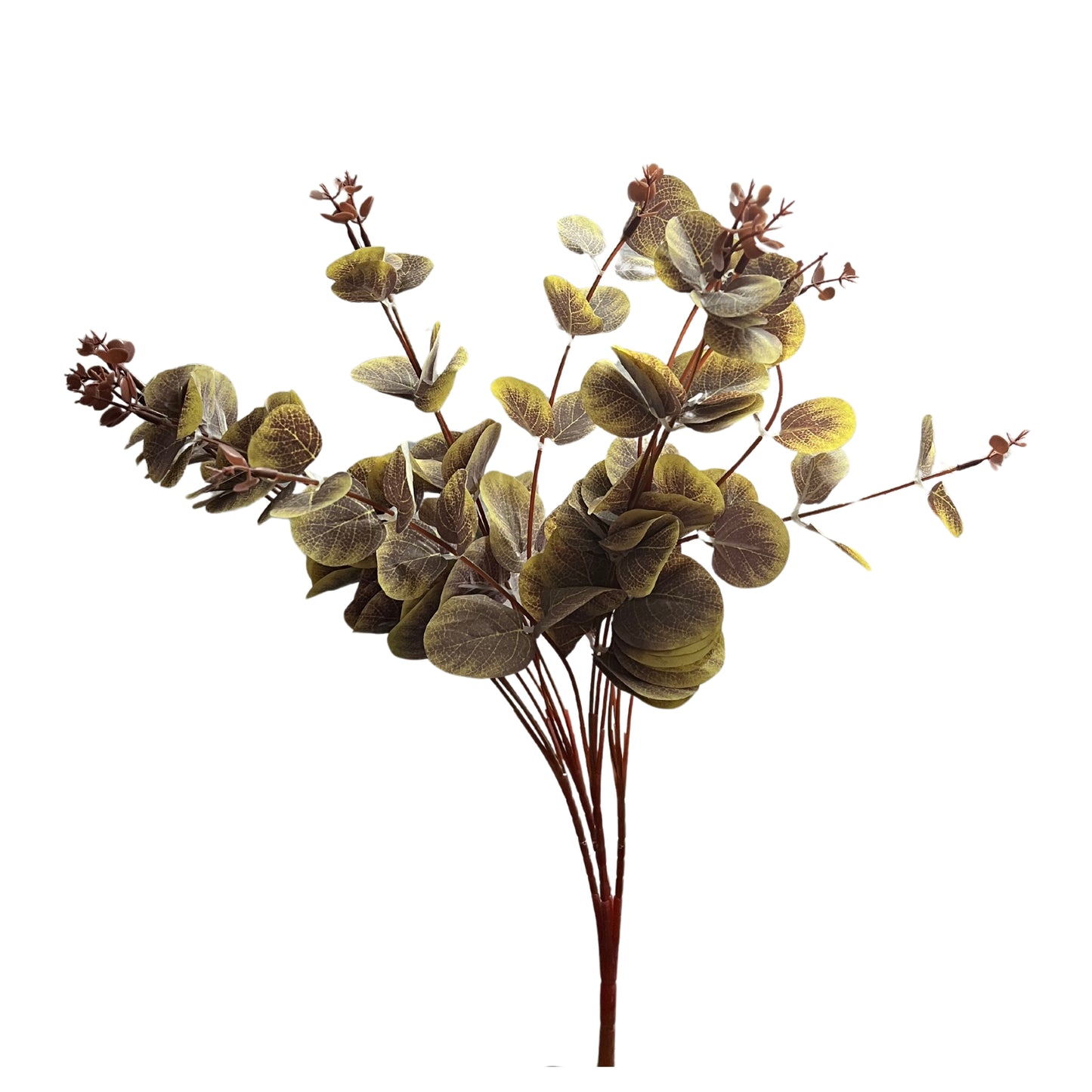 Artificial Eucalyptus Flower Bunch Fake Bunch Decor (Without Vase Pot)- Pack of 1 Bunch (Dry)