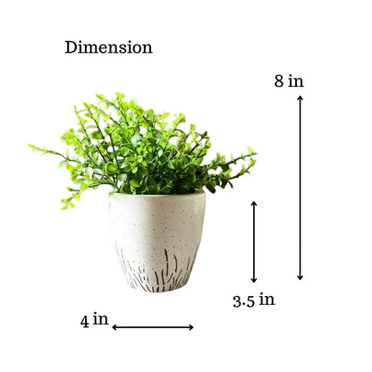 Akaar Artificial Plants for Decoration - White Round Ceramic Pot with Jade