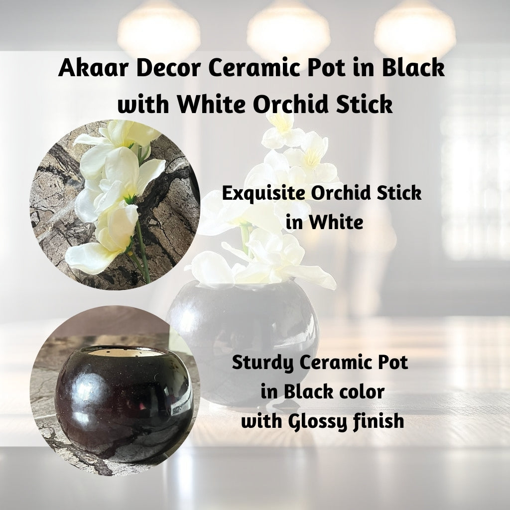 Akaar Artificial Plants for Decoration - Black Ceramic Pot with Artificial White Orchid