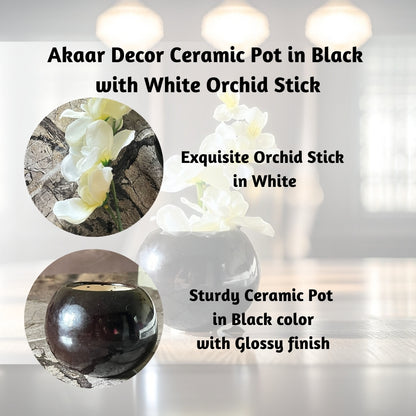 Akaar Artificial Plants for Decoration - Black Ceramic Pot with Artificial White Orchid