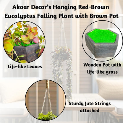 Akaar Décor's Outdoor Decor Range: Artificial Hanging Eucalyptus Plant (Brown)