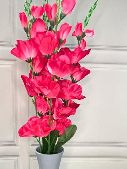 Akaar Gladiolus Flower Long Bunch for Home Decoration