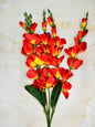 Akaar Gladiolus Flower Long Bunch for Home Decoration