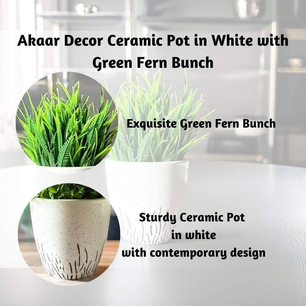 Akaar Artificial Plants for Decoration - White Round Ceramic Pot with Fern