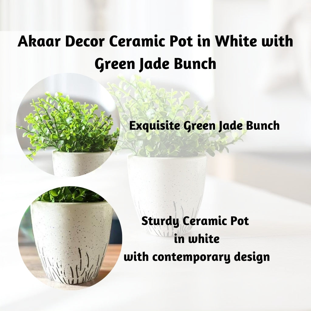 Akaar Artificial Plants for Decoration - White Round Ceramic Pot with Jade