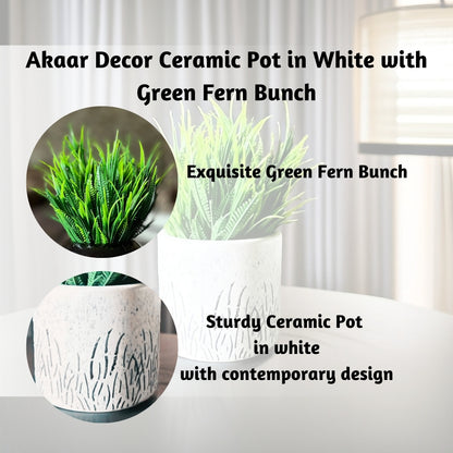 Akaar Artificial Plants for Decoration - White Ceramic Pot with Fern