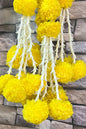 Akaar Yellow Marigold Ladi for Festive Décor (Pack of 2) (2 Styles)