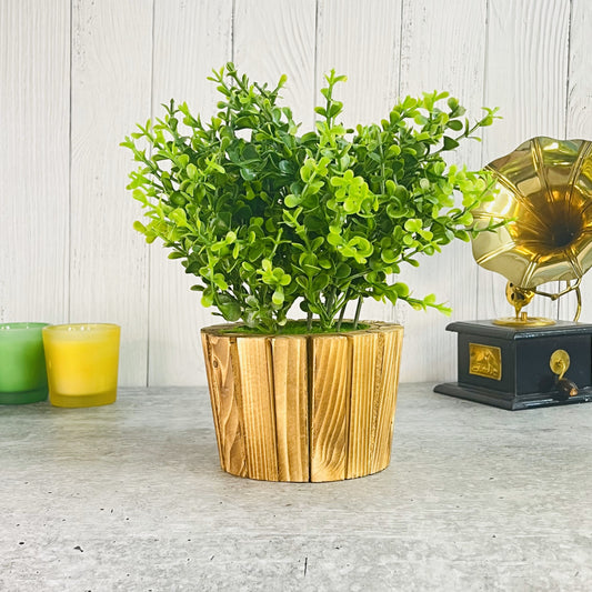 Akaar Artificial Plants for Decoration - Wooden Plant Style 3