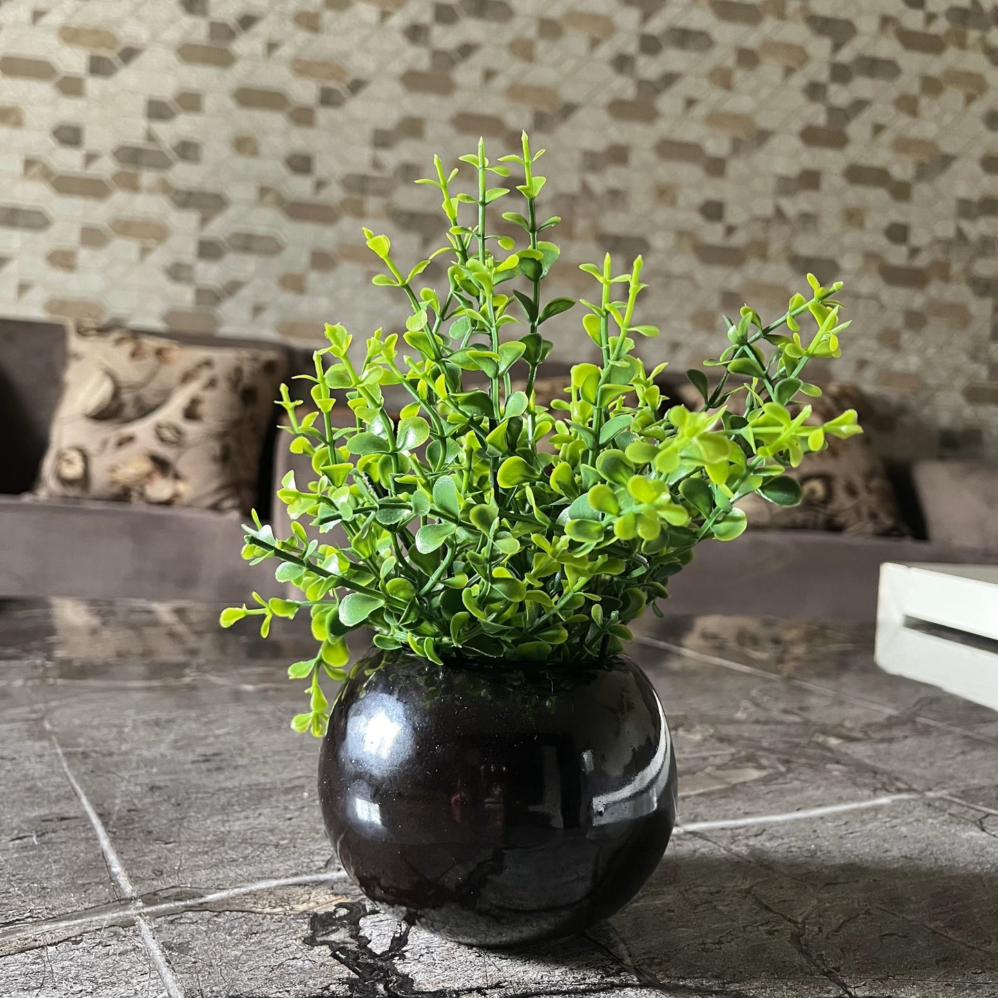 Akaar Artificial Plants for Decoration - Black Ceramic Pot with Jade