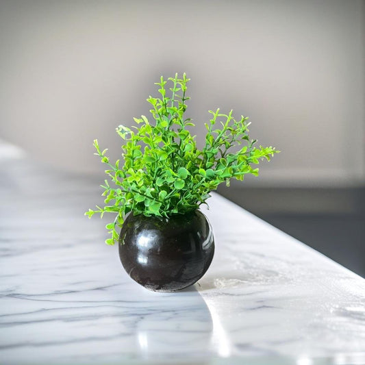 Akaar Artificial Plants for Decoration - Black Ceramic Pot with Jade