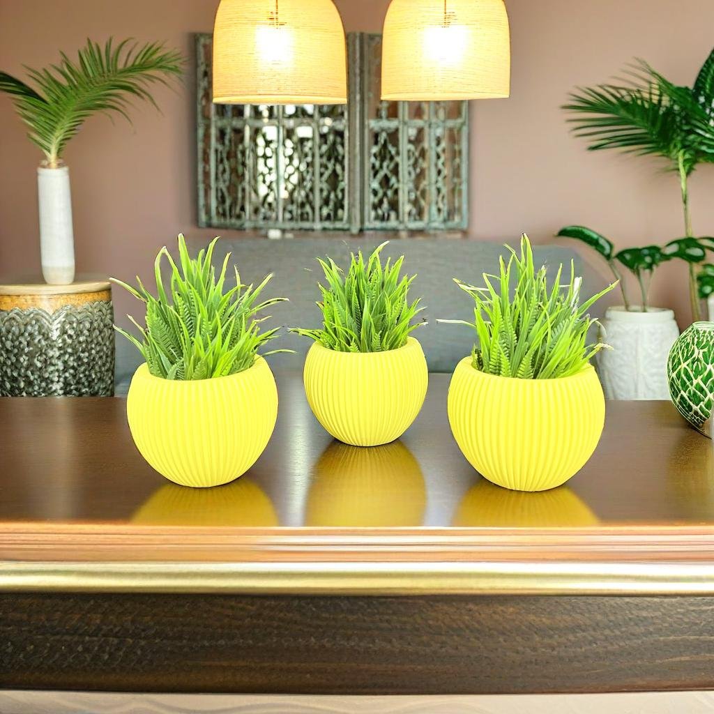 Akaar 3 Yellow Ava Pots with Fern