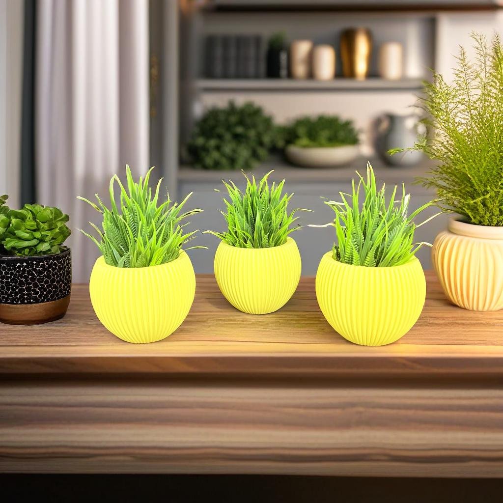 Akaar 3 Yellow Ava Pots with Fern