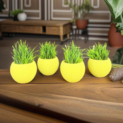 Akaar 4 Yellow Ava Pots with Fern