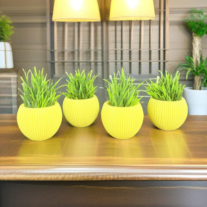 Akaar 4 Yellow Ava Pots with Fern