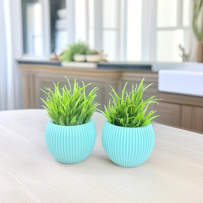 Akaar 2 Blue Ava Pots with Fern